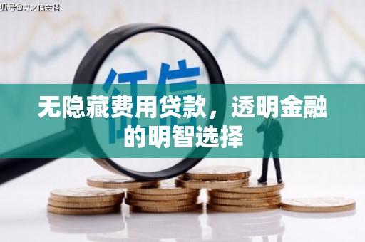 盈江无隐藏费用贷款，透明金融的明智选择