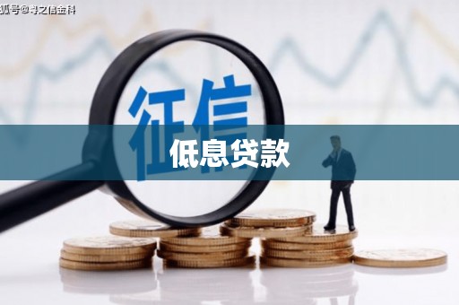 盈江低息贷款