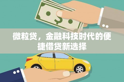 盈江微粒贷，金融科技时代的便捷借贷新选择