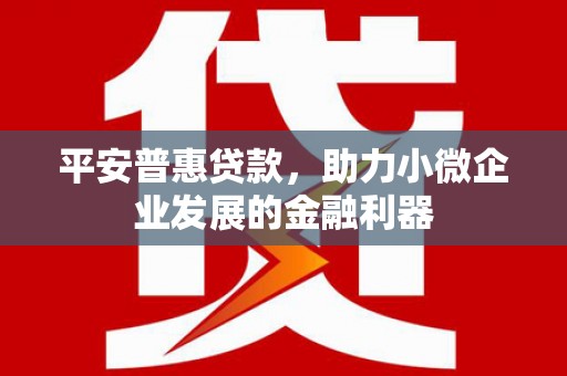 盈江平安普惠贷款，助力小微企业发展的金融利器