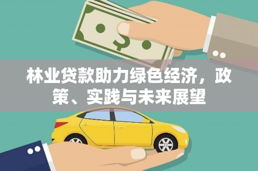 盈江林业贷款助力绿色经济，政策、实践与未来展望