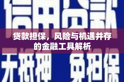盈江贷款担保，风险与机遇并存的金融工具解析