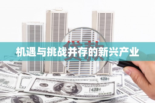 盈江机遇与挑战并存的新兴产业