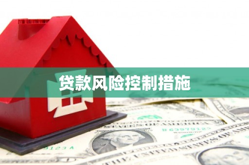 盈江贷款风险控制措施