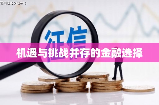 盈江机遇与挑战并存的金融选择