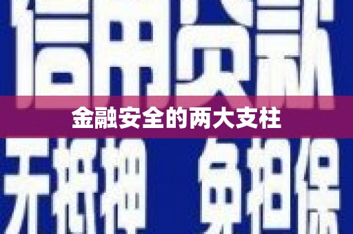 盈江金融安全的两大支柱