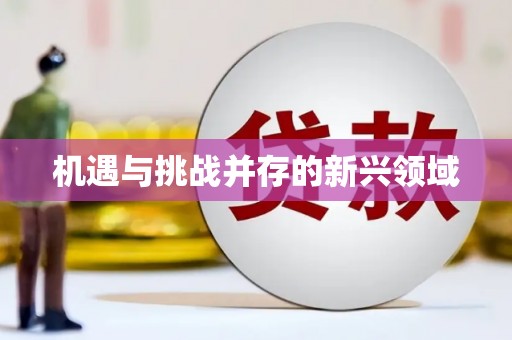 盈江机遇与挑战并存的新兴领域