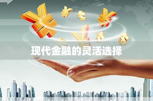 盈江现代金融的灵活选择