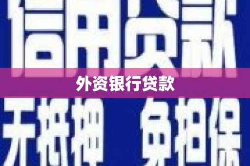 盈江外资银行贷款