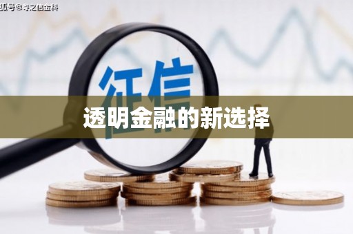 盈江透明金融的新选择