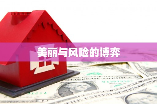 盈江美丽与风险的博弈
