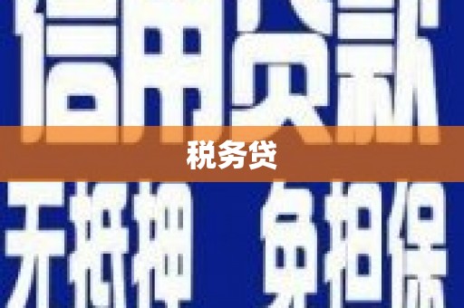 盈江税务贷