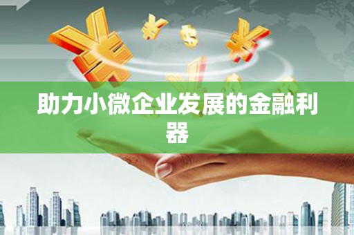 盈江助力小微企业发展的金融利器