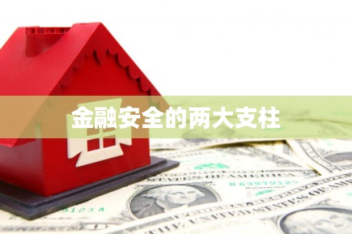 盈江金融安全的两大支柱