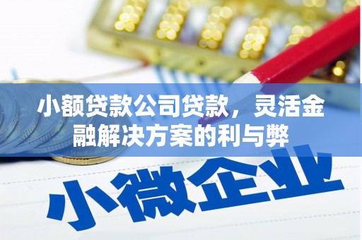 盈江小额贷款公司贷款，灵活金融解决方案的利与弊