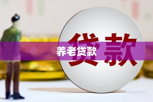 盈江养老贷款